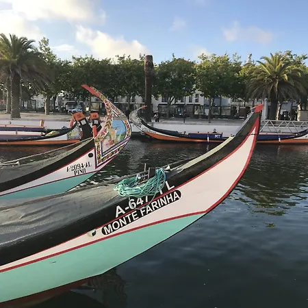 Flamingo Lejlighed Aveiro