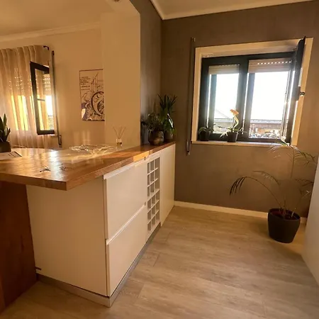 Daire Flamingo